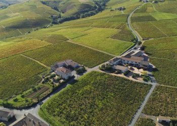Geoffrey Tassinari’s Global Vision for Domaine des Paquelets