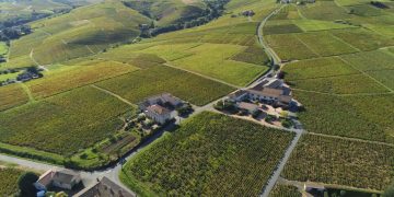 Geoffrey Tassinari’s Global Vision for Domaine des Paquelets