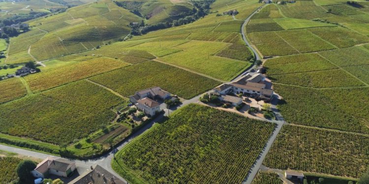 Geoffrey Tassinari’s Global Vision for Domaine des Paquelets