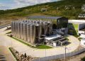 Crina Dulute is Positioning Romanian Wine as a Global Signature