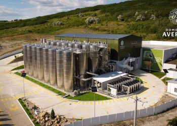 Crina Dulute is Positioning Romanian Wine as a Global Signature