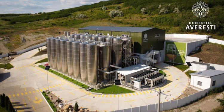 Crina Dulute is Positioning Romanian Wine as a Global Signature
