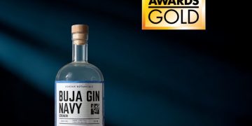 Korean Soul Meets the Art of Gin
