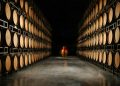 La Faretra, a winery in Maremma Toscana