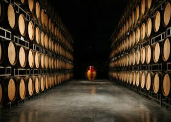 La Faretra, a winery in Maremma Toscana