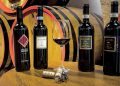 The farm La Rasine Brunello di Montalcino