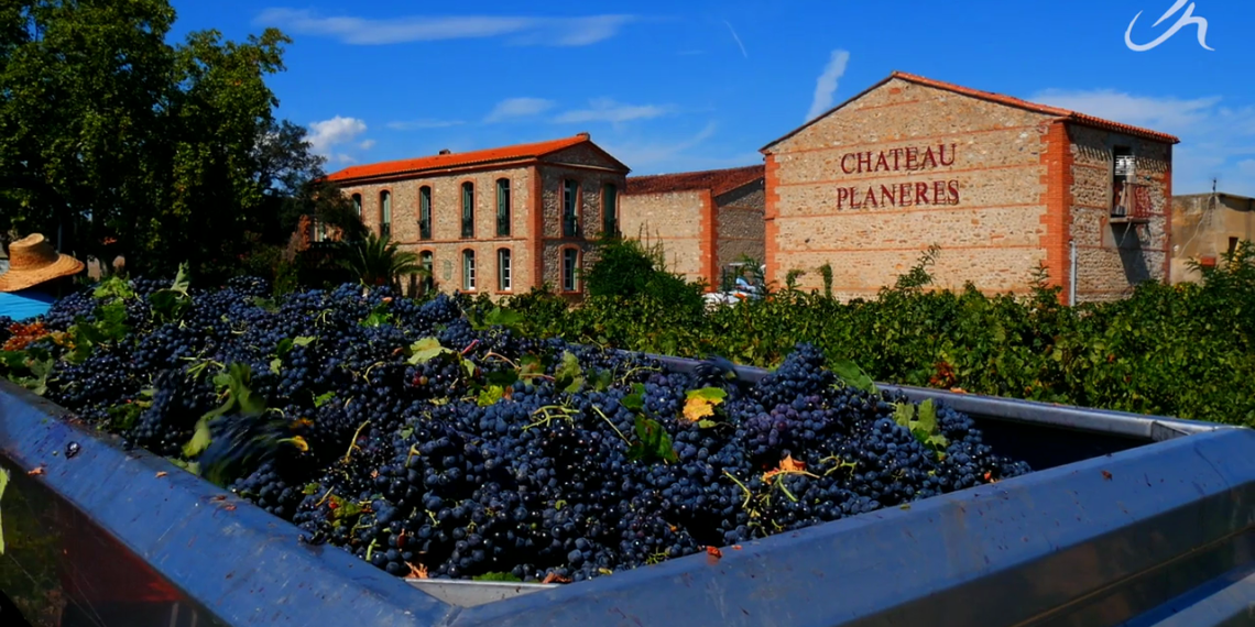 Château Planères: A Family Legacy from the Heart of Roussillon