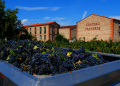 Château Planères: A Family Legacy from the Heart of Roussillon