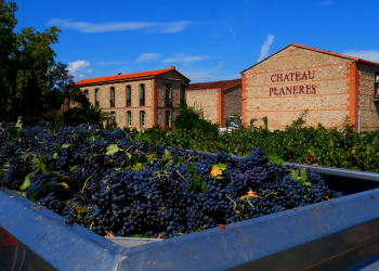 Château Planères: A Family Legacy from the Heart of Roussillon