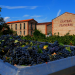 Château Planères: A Family Legacy from the Heart of Roussillon